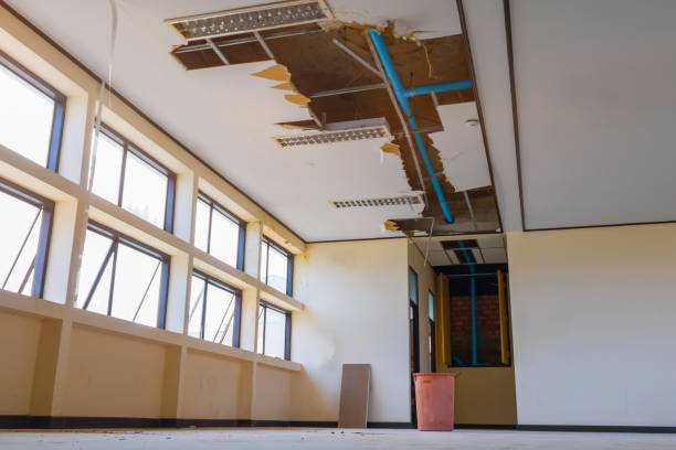 Best Fire Damage Restoration  in Rpinteria, CA
