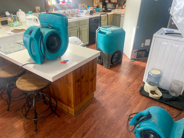 Best Professional water damage repair  in Rpinteria, CA