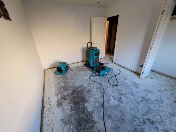 Best Flood restoration services  in Rpinteria, CA