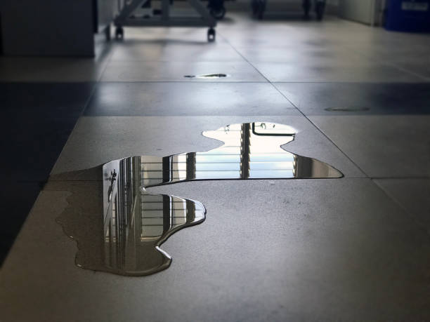 Best Local water damage restoration  in Rpinteria, CA