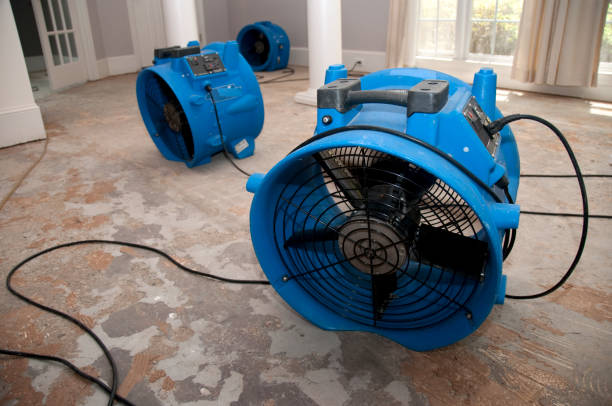 Best Flood damage cleanup  in Rpinteria, CA