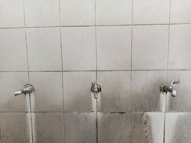 Best Professional water damage repair  in Rpinteria, CA