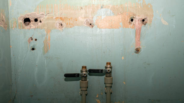 Best Sewage cleanup and water damage restoration  in Rpinteria, CA