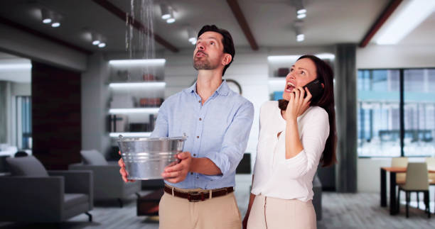 Best Water damage cleanup near me  in Rpinteria, CA