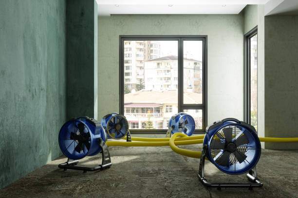 Best Ceiling water damage repair  in Rpinteria, CA